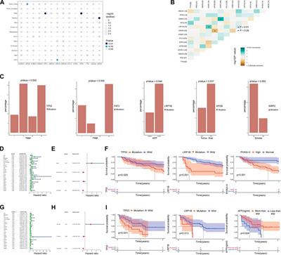 Prognosis and personalized medicine prediction by integrated whole exome and transcriptome sequencing of hepatocellular carcinoma